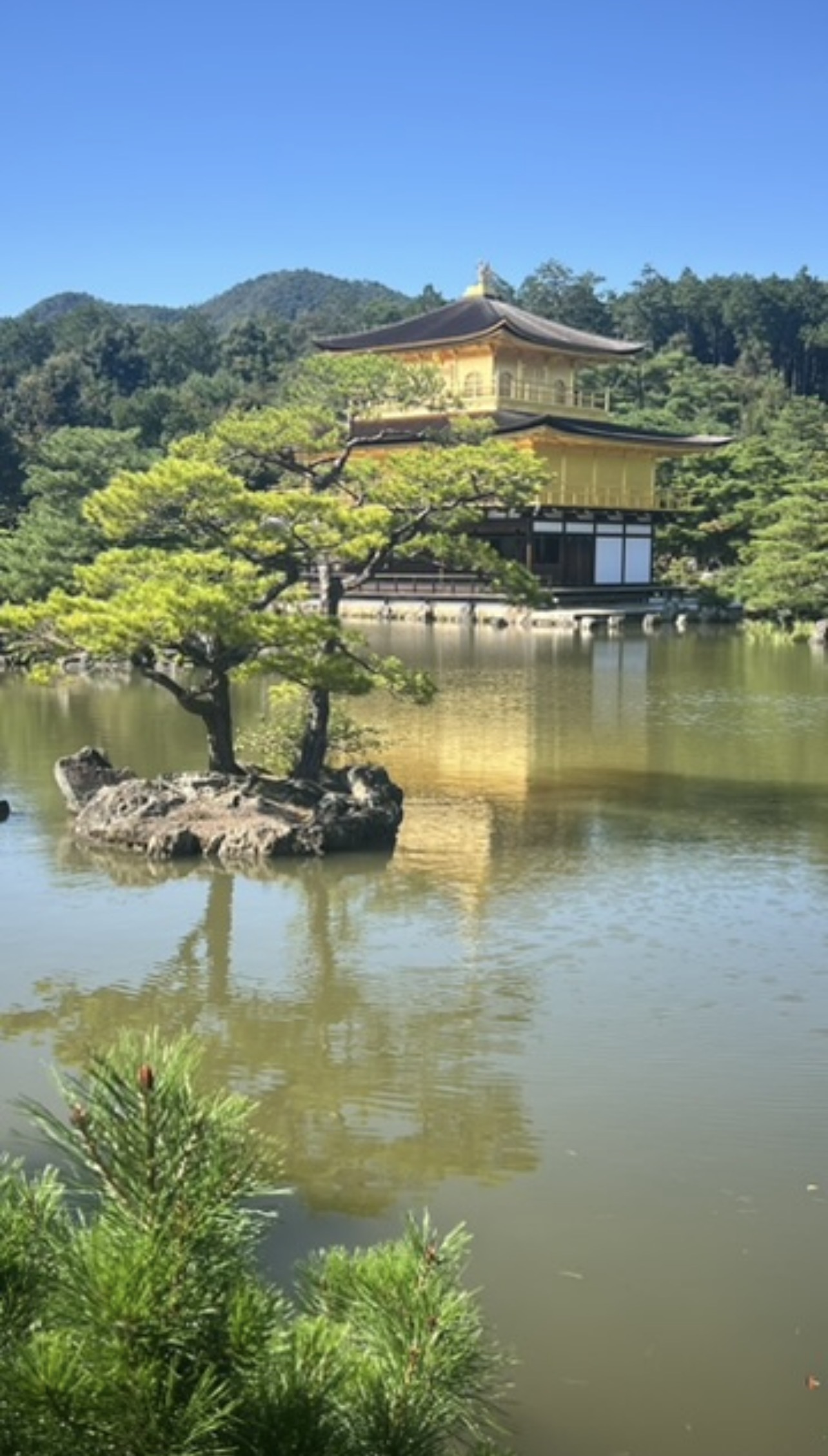 Pabellón Dorado de Kyoto reflejado sobre el estanque