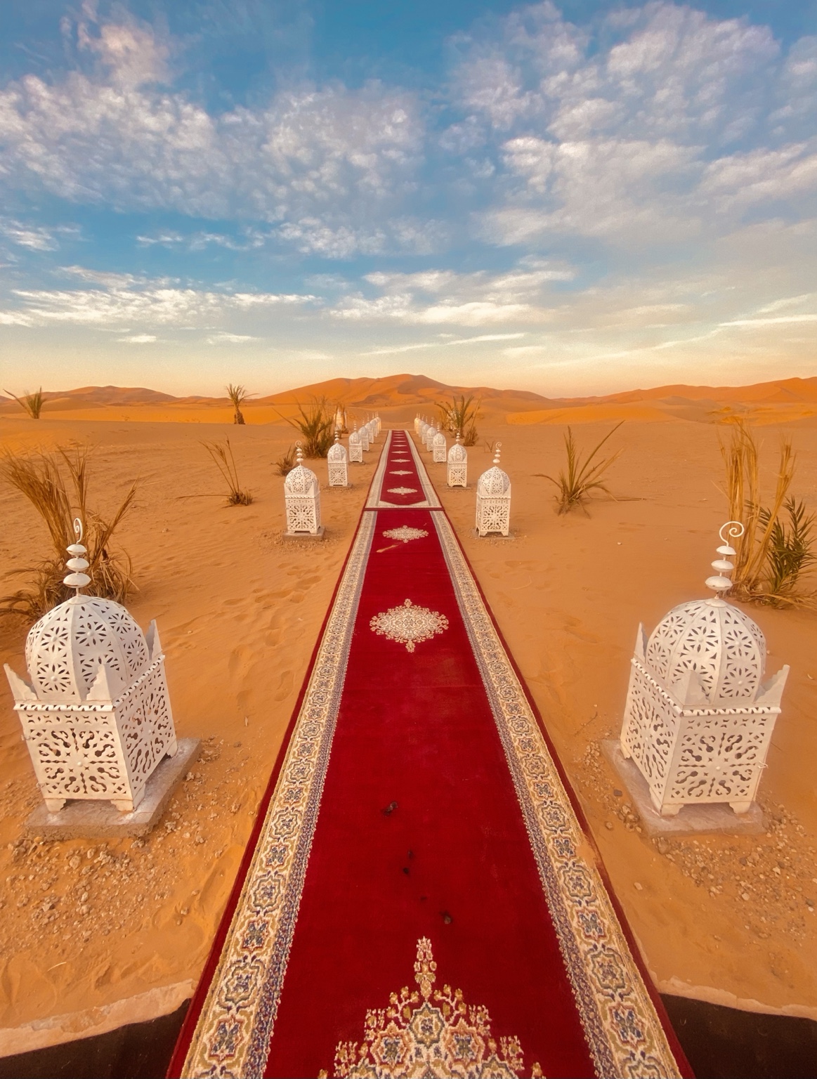 Alfombra roja extendida en un campamento bajo el cielo del desierto